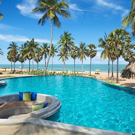 Jetwing Surf & Safari, A Luxury Reserve Vịnh Arugam Ngoại thất bức ảnh