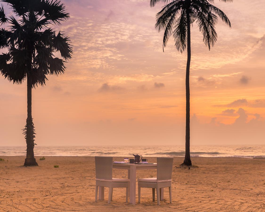 Jetwing Surf & Safari, A Luxury Reserve Vịnh Arugam Ngoại thất bức ảnh